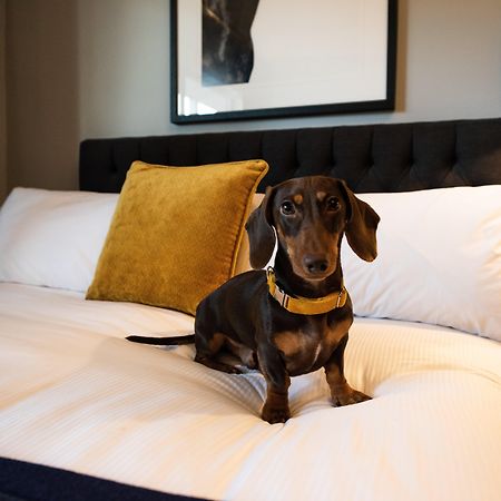 Voco™ Kirkton Park Hunter Valley, An Ihg Hotel Pokolbin Luaran gambar