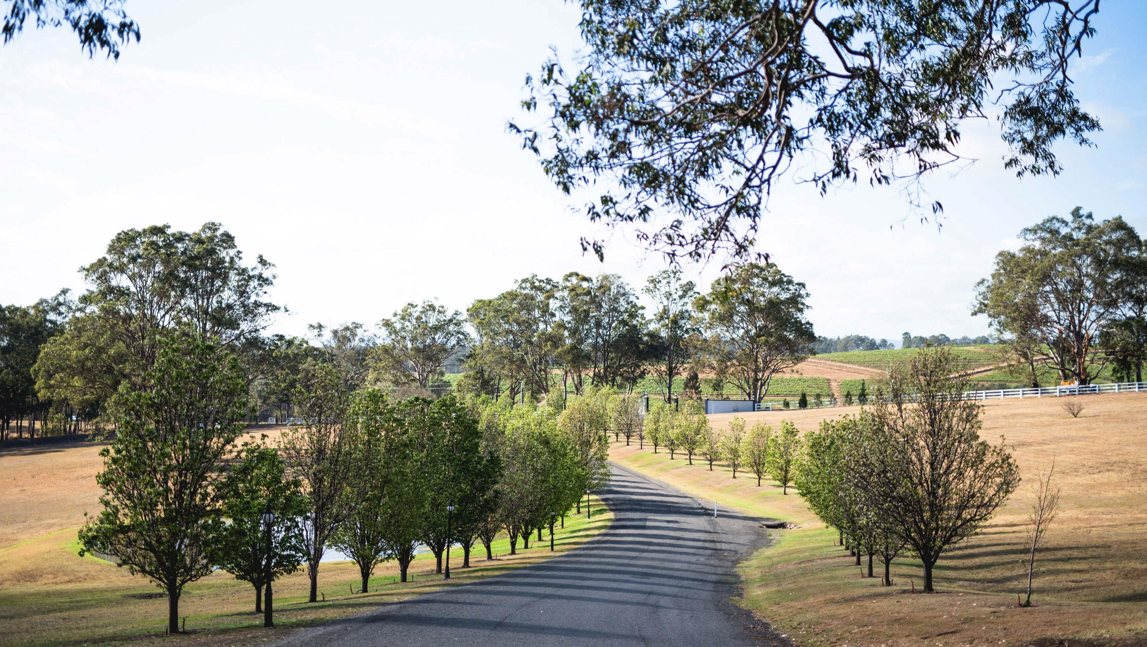 Voco™ Kirkton Park Hunter Valley, An Ihg Hotel Pokolbin Luaran gambar