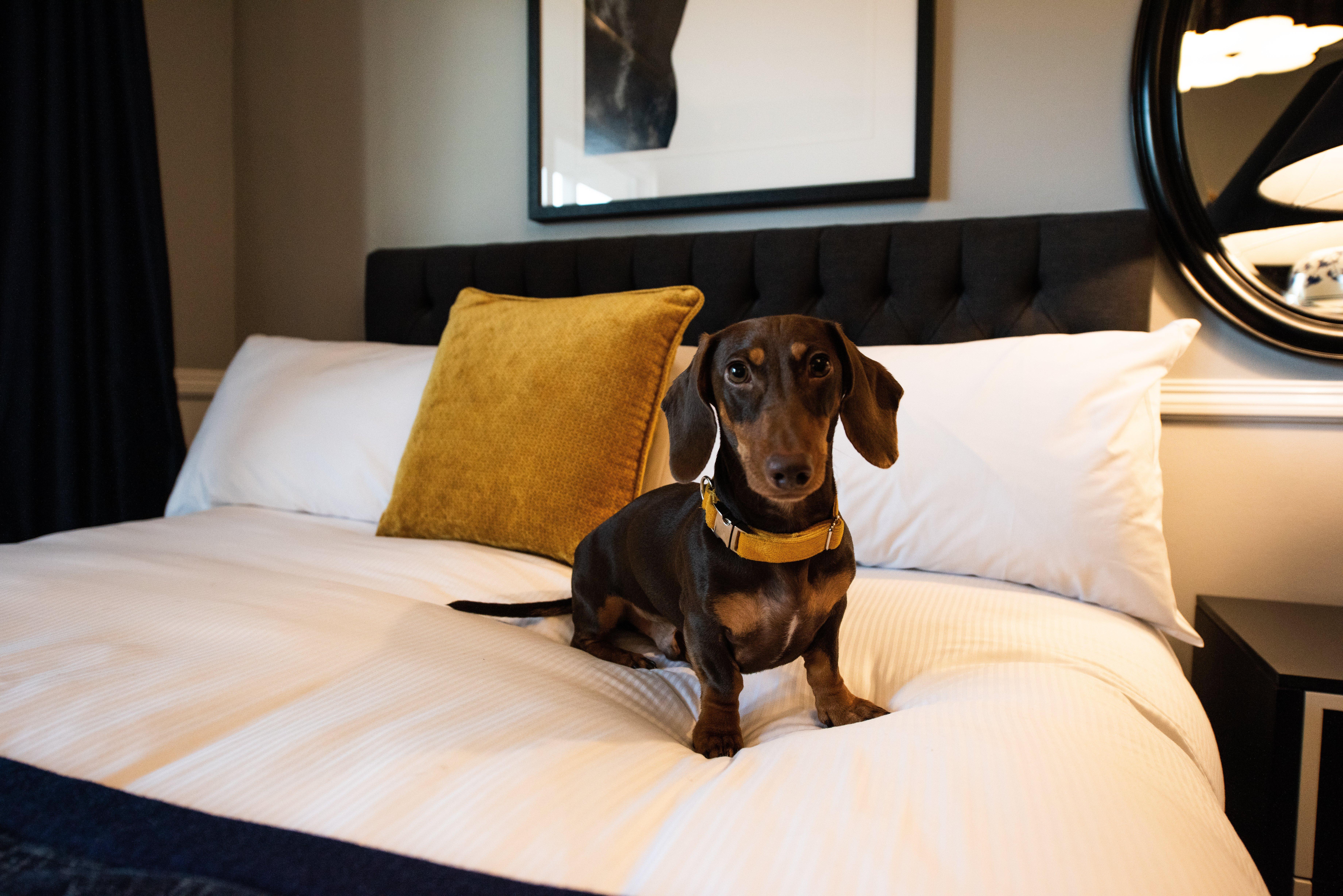 Voco™ Kirkton Park Hunter Valley, An Ihg Hotel Pokolbin Luaran gambar